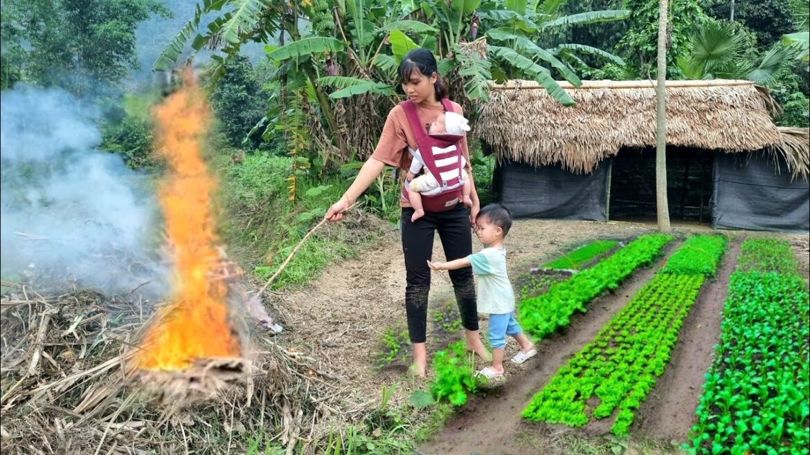 A hard day with the children gardening, growing vegetables & cooking | SinglemomCầmtuyết