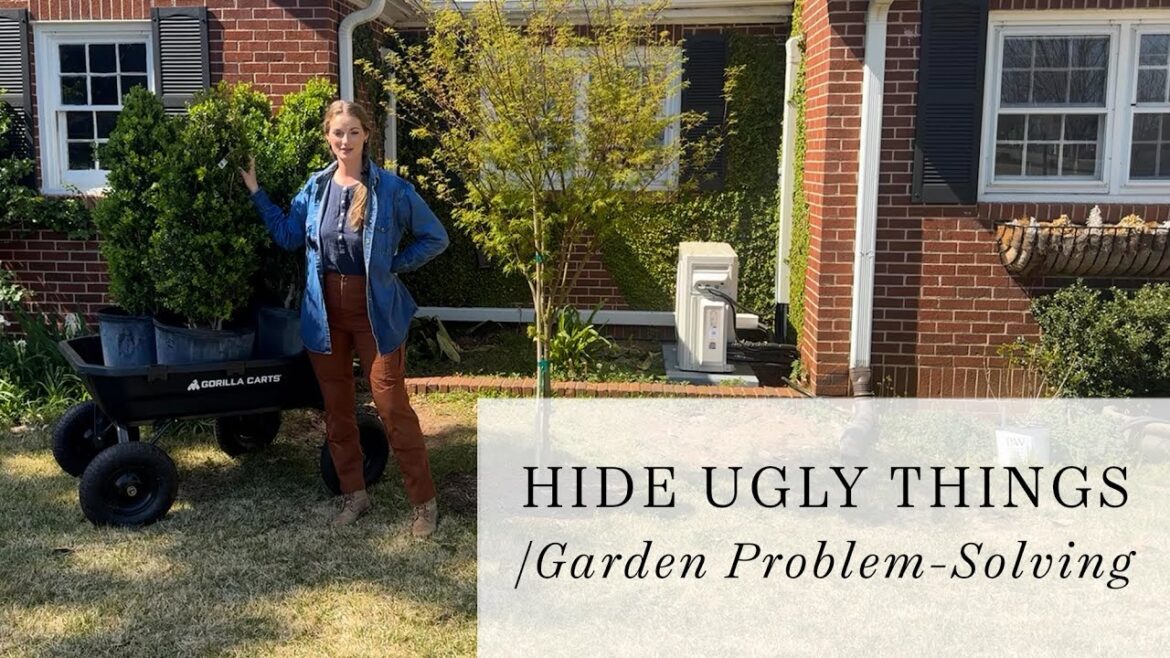 Hiding Ugly Things: Garden Design Problem-Solving Hiding Ugly Things: Garden Design Problem-Solving