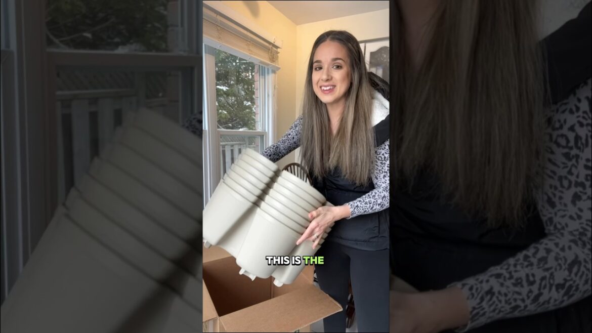 Greens talk 7 Tier Vertical Planter Unboxing | Indoor Farmer | 2024 Vegetable Gardening #homestead