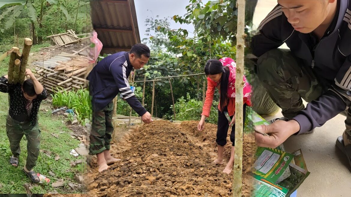 The couple reclaimed the land for a vegetable garden to grow green vegetables The couple reclaimed the land for a vegetable garden to grow green vegetables