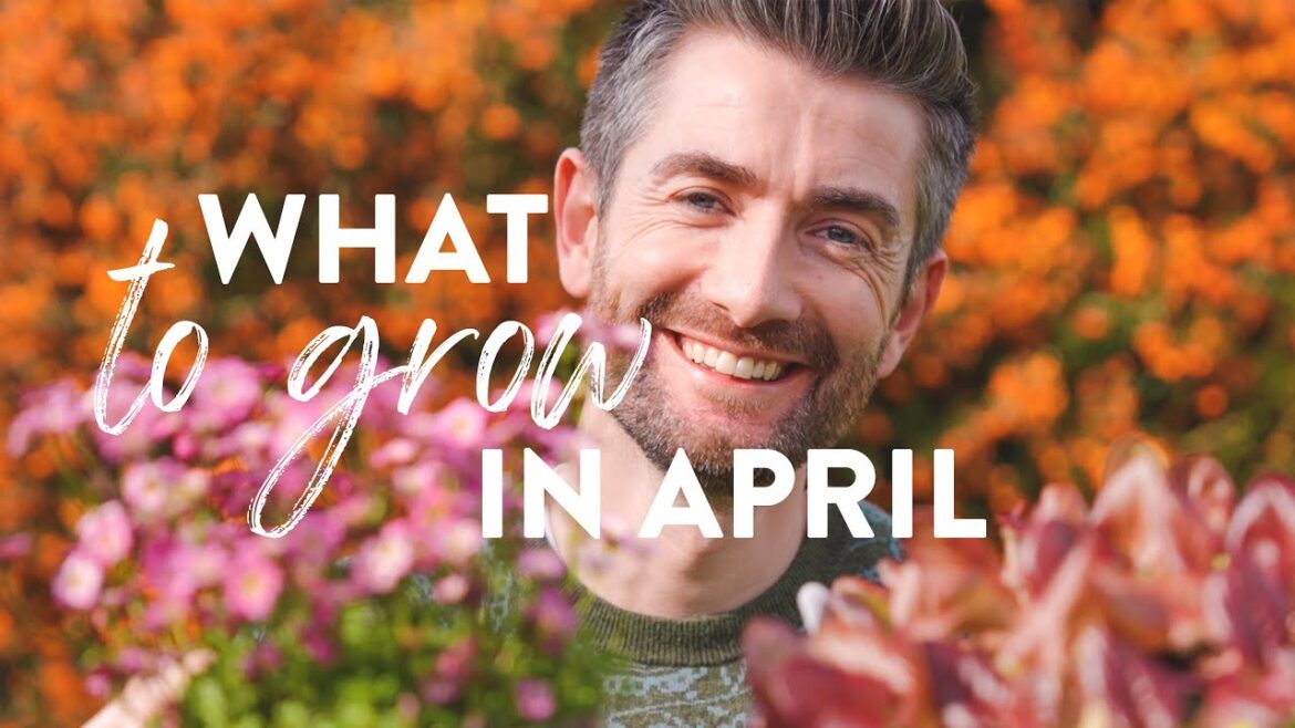 What to Plant in April | Not the Usual What to Sow Video! What to Plant in April | Not the Usual What to Sow Video!