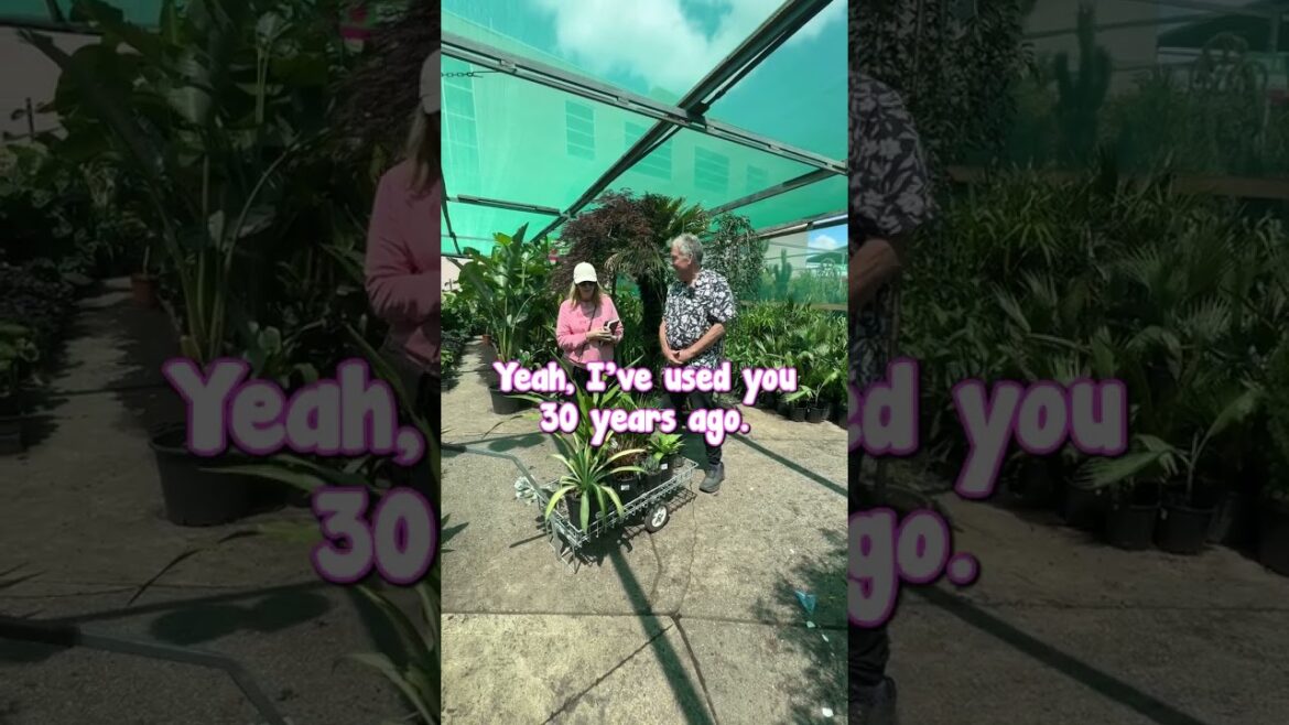 "I Know You're an Expert" - Helping Out Michelle with Plants for her Poolside