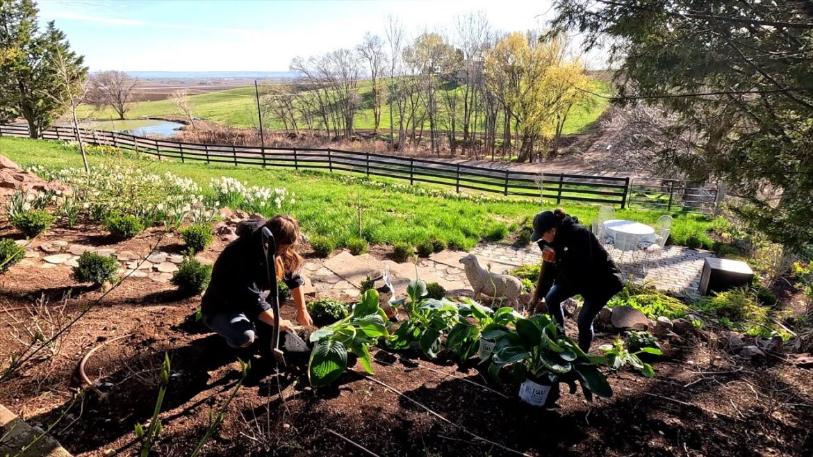 Garden Answer: Planting Perennials with My Mom! 🌿🙌🥰 // Garden Answer Planting Perennials with My Mom! 🌿🙌🥰 // Garden Answer