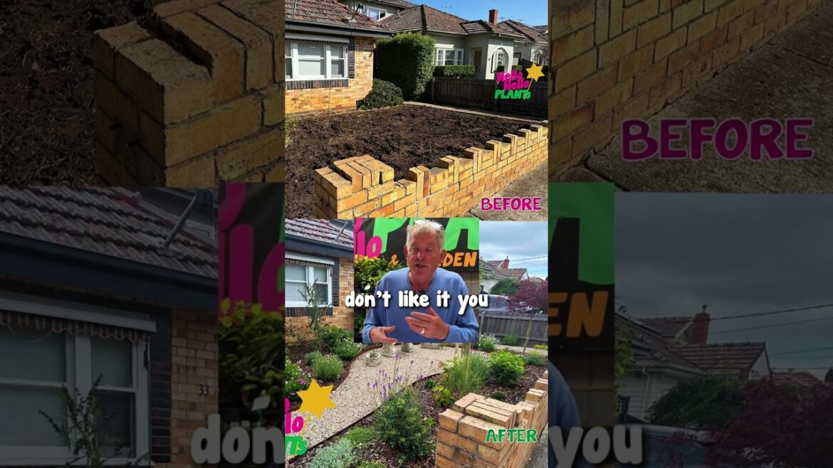 🏡Design Your Garden. Part 6 - Chris talks about what's good about his Garden Design.