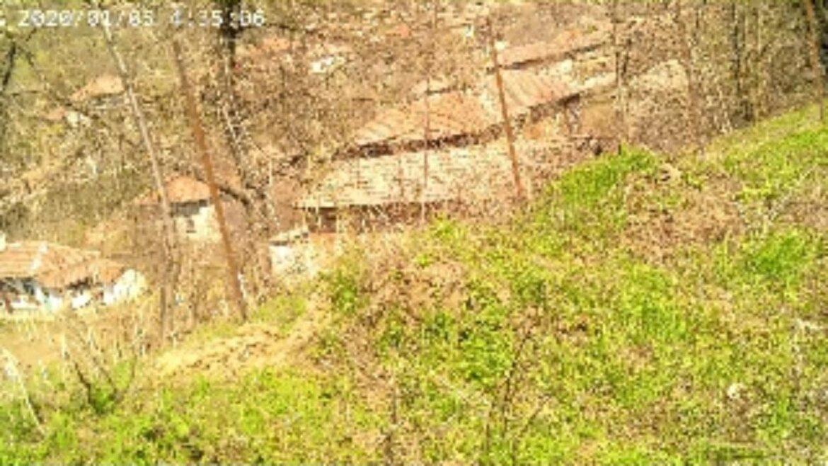 Bulgaria 12:  My Garden plans and Chris's workshop