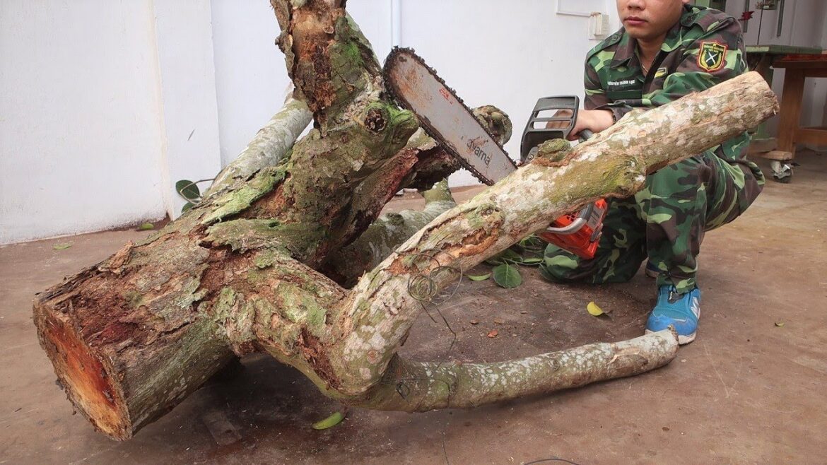 Bring Wild Nature Into Garden By Ideas Using Tree Stumps – Creative Woodworking Will Surprise You ‼️ Bring Wild Nature Into Garden By Ideas Using Tree Stumps - Creative Woodworking Will Surprise You ‼️