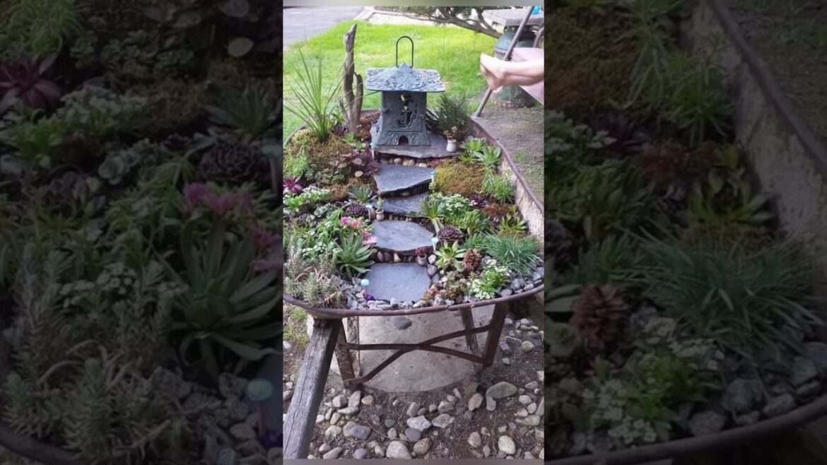 IDEAS for garden