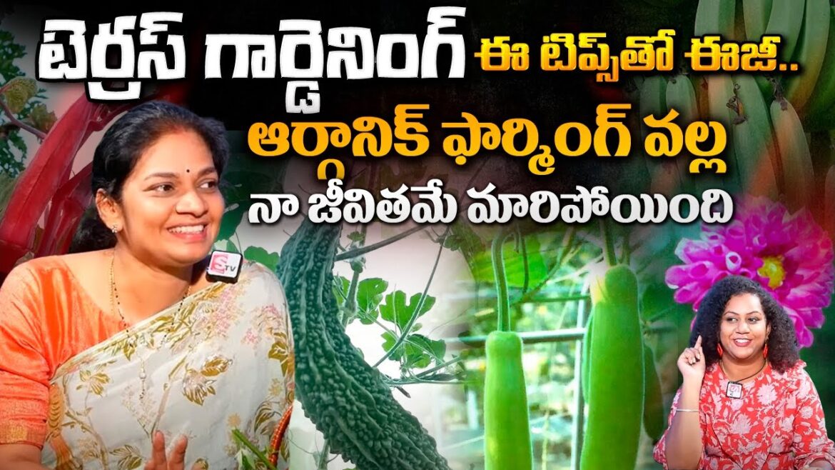 Mad Gardener Madhavi Special Interview | Organic Farming Tips | @SumanTVNellore