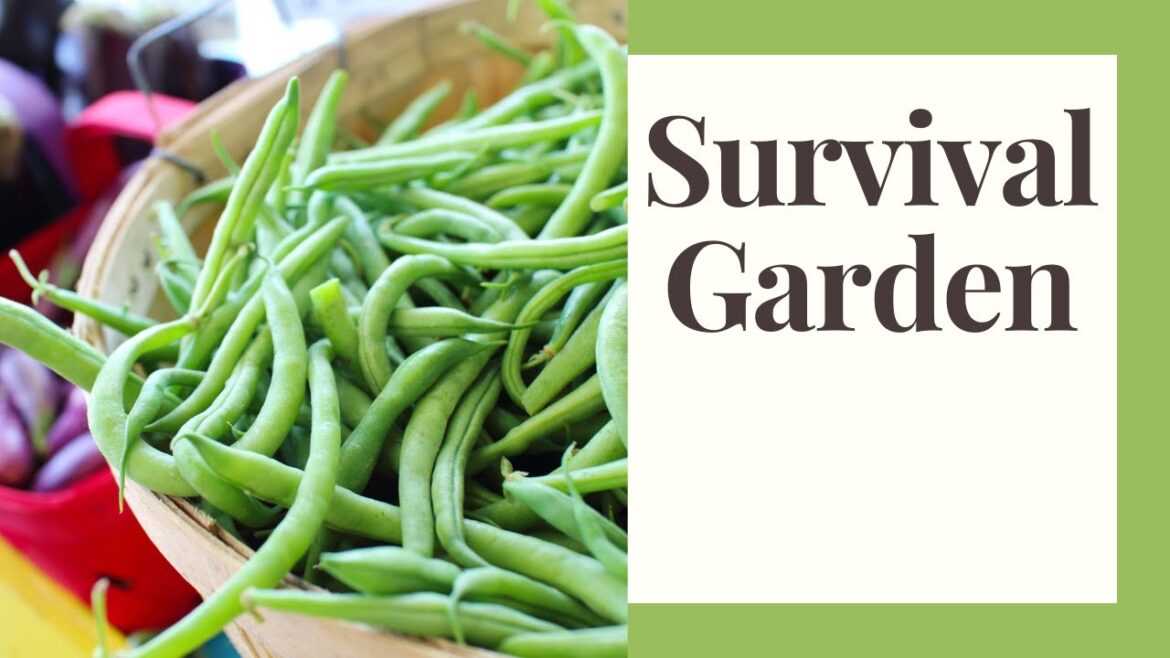Survival Garden: 7 Recommended Crops & 3 Tips Survival Garden: 7 Recommended Crops & 3 Tips
