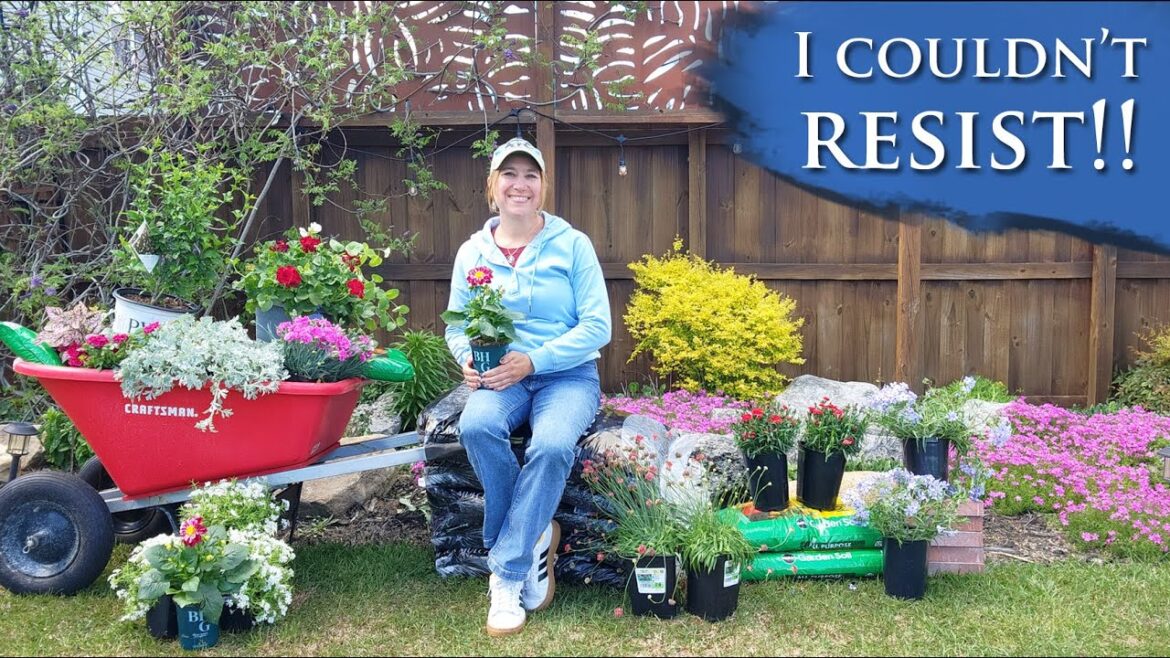 Garden center plant haul!! | Spring SALES happening! Garden center plant haul!! | Spring SALES happening!