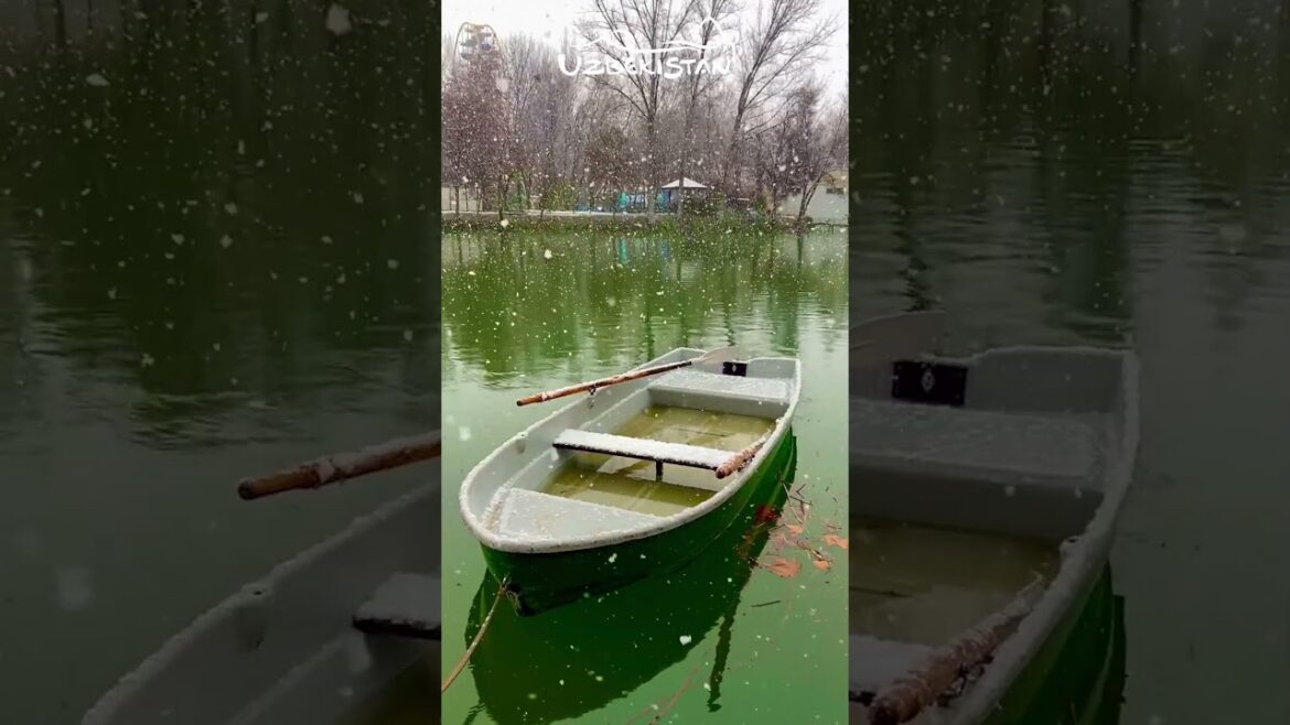 Winter shots from Japanese garden