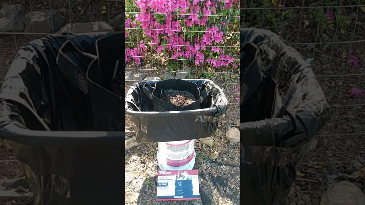 Gardening Self Watering Container