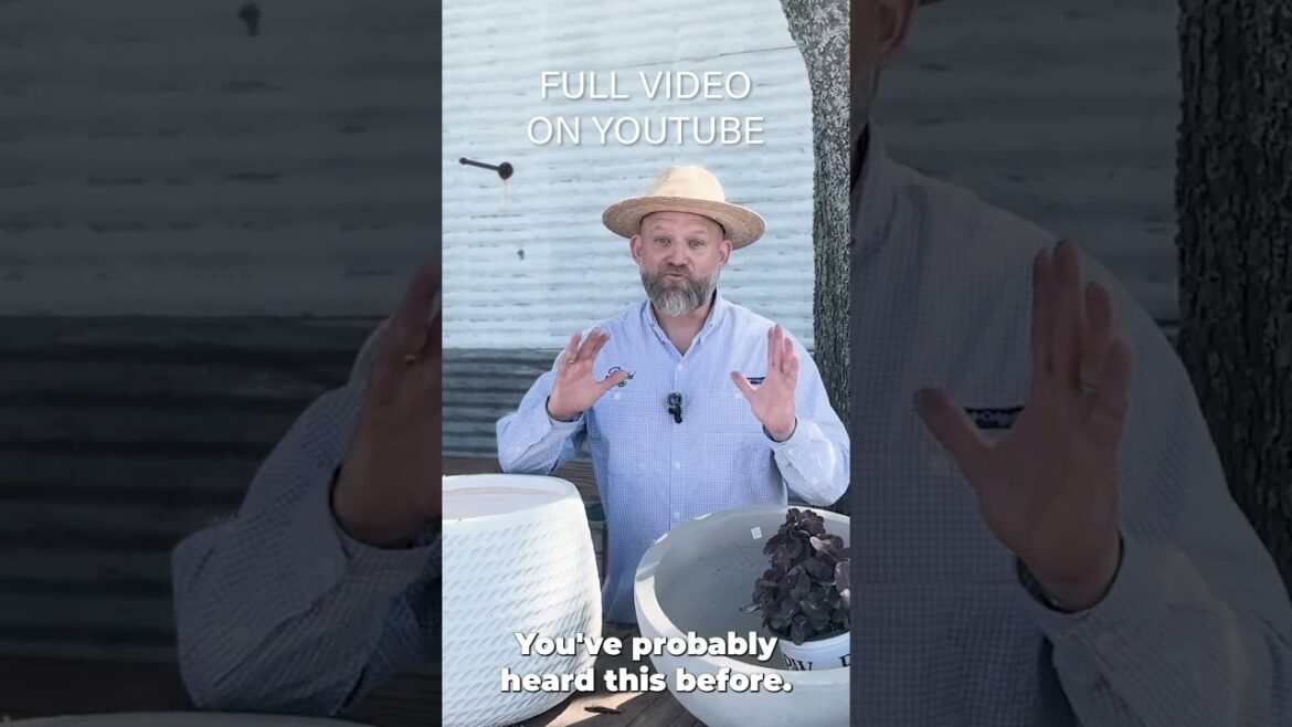 Container Gardening Tips