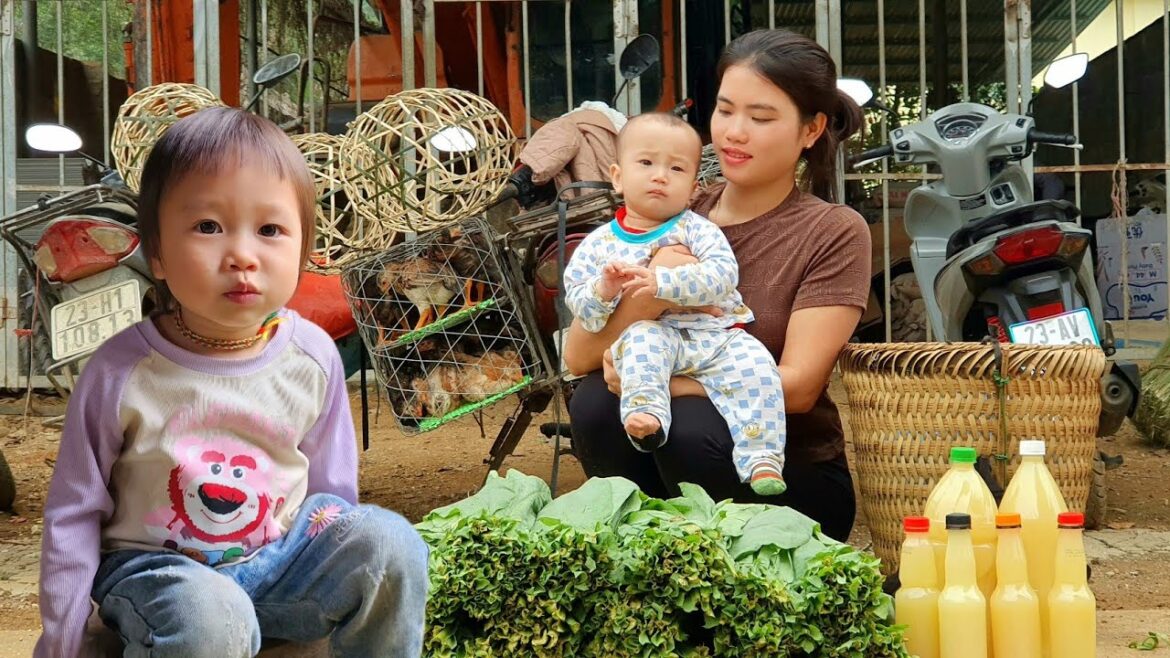 Harvest Vegetable Garden With Your Children Go to market to sell | Buy New Clothes For Two Children Harvest Vegetable Garden With Your Children Go to market to sell | Buy New Clothes For Two Children