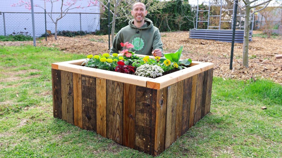 James Prigioni: How to Build a RAISED BED Using RECYCLED PALLETS, FREE Backyard Gardening How to Build a RAISED BED Using RECYCLED PALLETS, FREE Backyard Gardening