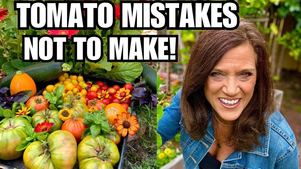 🍅 LIVE: Avoid These Tomato Mistakes At All Costs