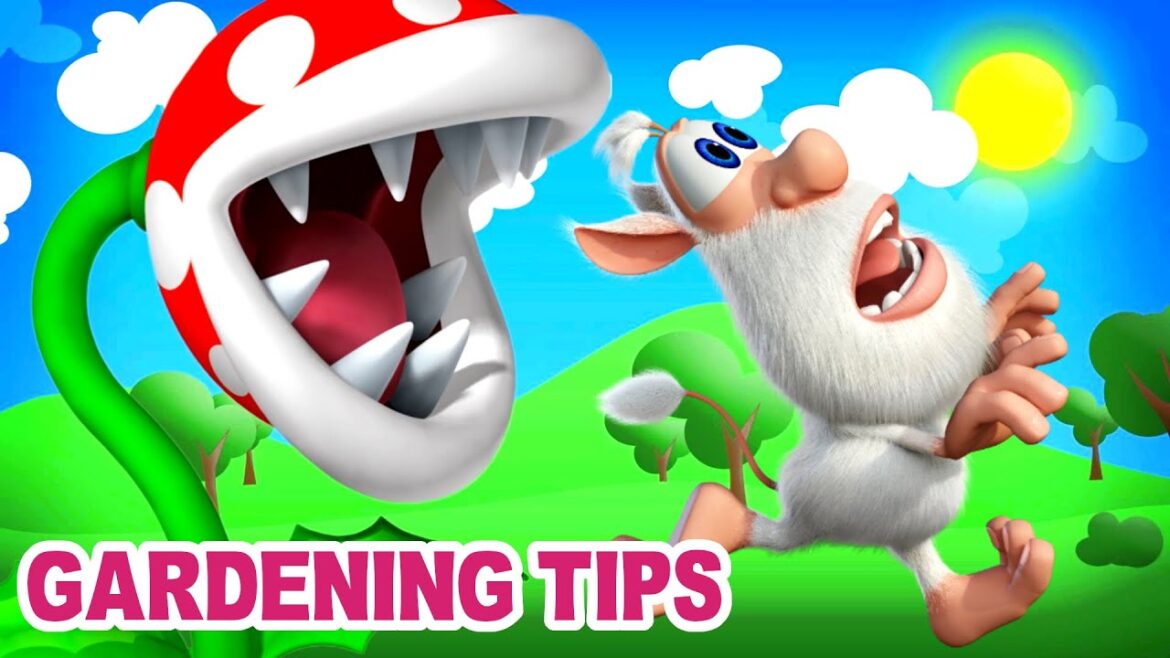 Booba - Gardening Tips - Cartoon for kids