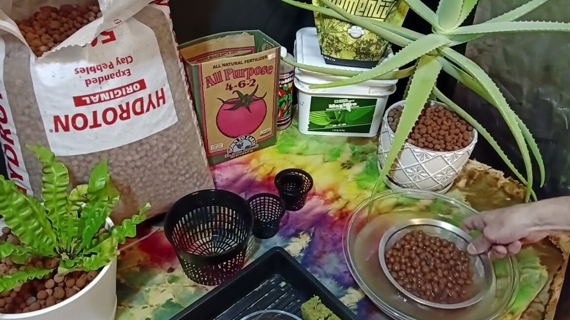 Using LECA (Lightweight Expanded Clay Aggregate) in your Hydroponic systems and on houseplants Using LECA (Lightweight Expanded Clay Aggregate) in your Hydroponic systems and on houseplants