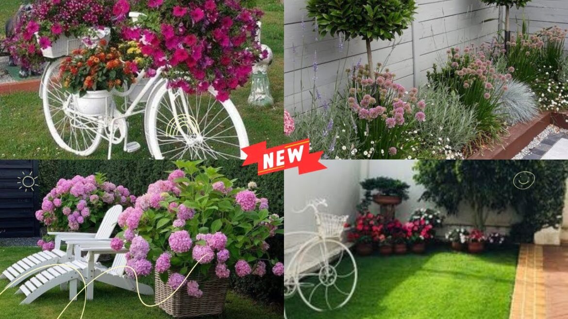 Wonderful plant ideas for outdoor backyard garden | outdoor plants decoration ideas