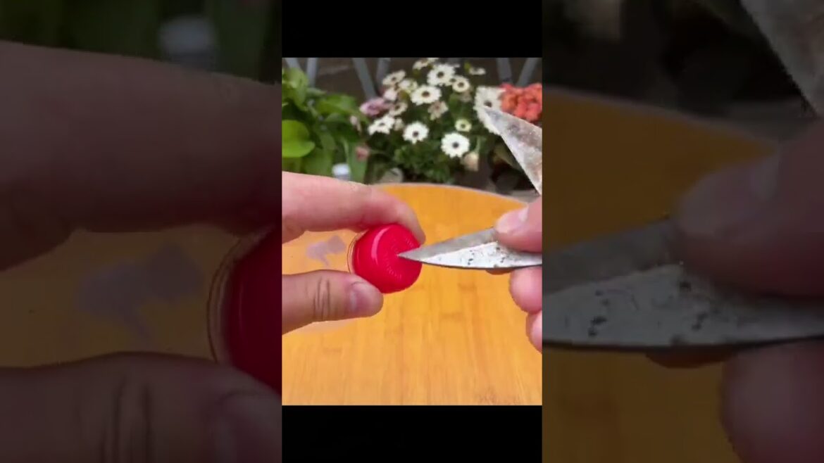 10 4 24 1 #gardening #garden #bonsai #gardenproject #grafting #gardendesign #gardeningt