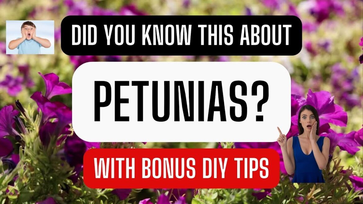Did You Know This About Petunias? | Landscape Secrets Revealed! #petunias #gardening Did You Know This About Petunias? | Landscape Secrets Revealed! #petunias #gardening