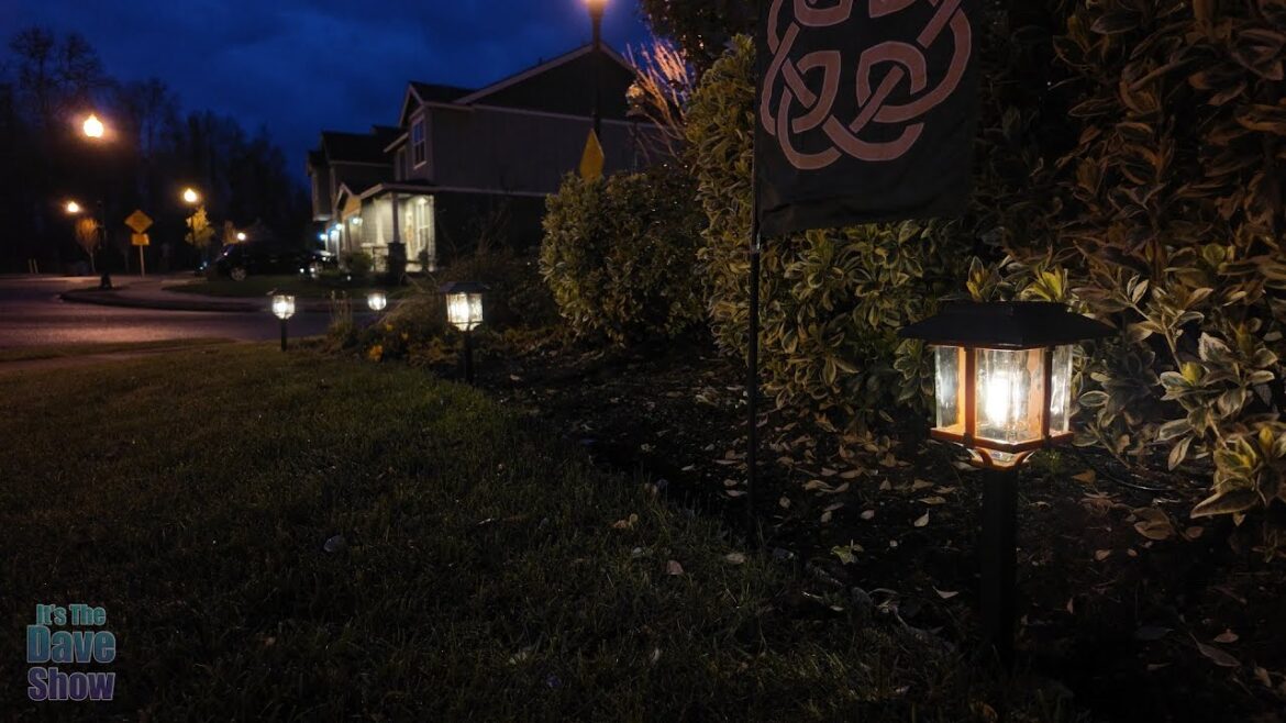 Solar garden path lights very nice