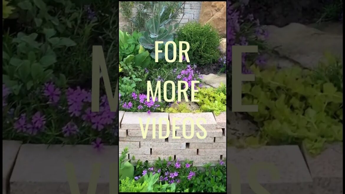 Garden Design Idea: Dry Stone Wall Planting #gardendesign #gardeningideas #gardeninspiration