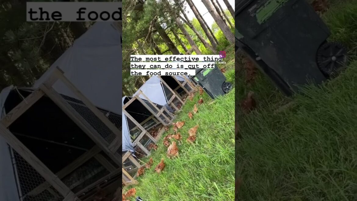 Be prepared! Learn a skill! Homestead, garden, preserve food