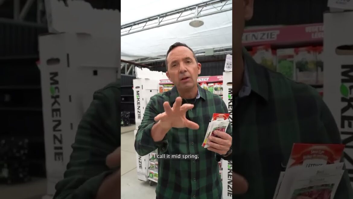 5 SEEDS TO DIRECT SOW IN SPRING 🥕🥬✨ #vegetablegardening #gardening #frankieflowers