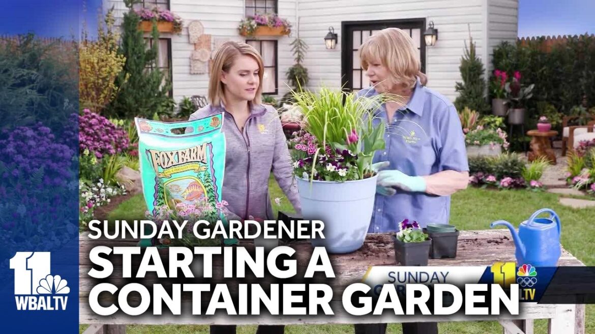 Tips on how to start and maintain a container garden