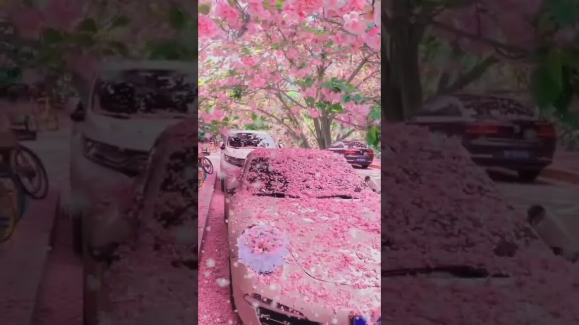 Landscape #landscapescenerydrawing #landscapewithinvisiblehand #landscapearchitecture # Landscape #landscapescenerydrawing #landscapewithinvisiblehand #landscapearchitecture #