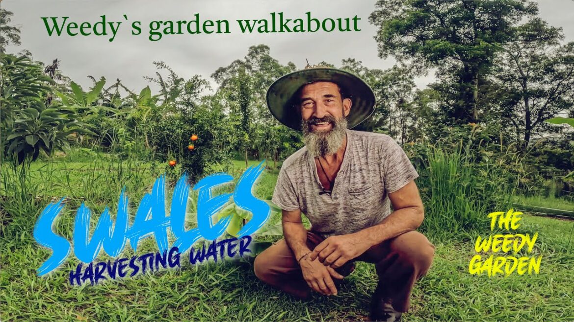 SAVING WATER AND NUTRIENTS USING SWALES – Weedy`s Garden Walkabout SAVING WATER AND NUTRIENTS USING SWALES - Weedy`s Garden Walkabout