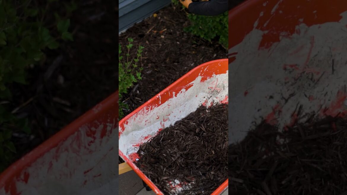 Pool Landscapes and Edging Solutions