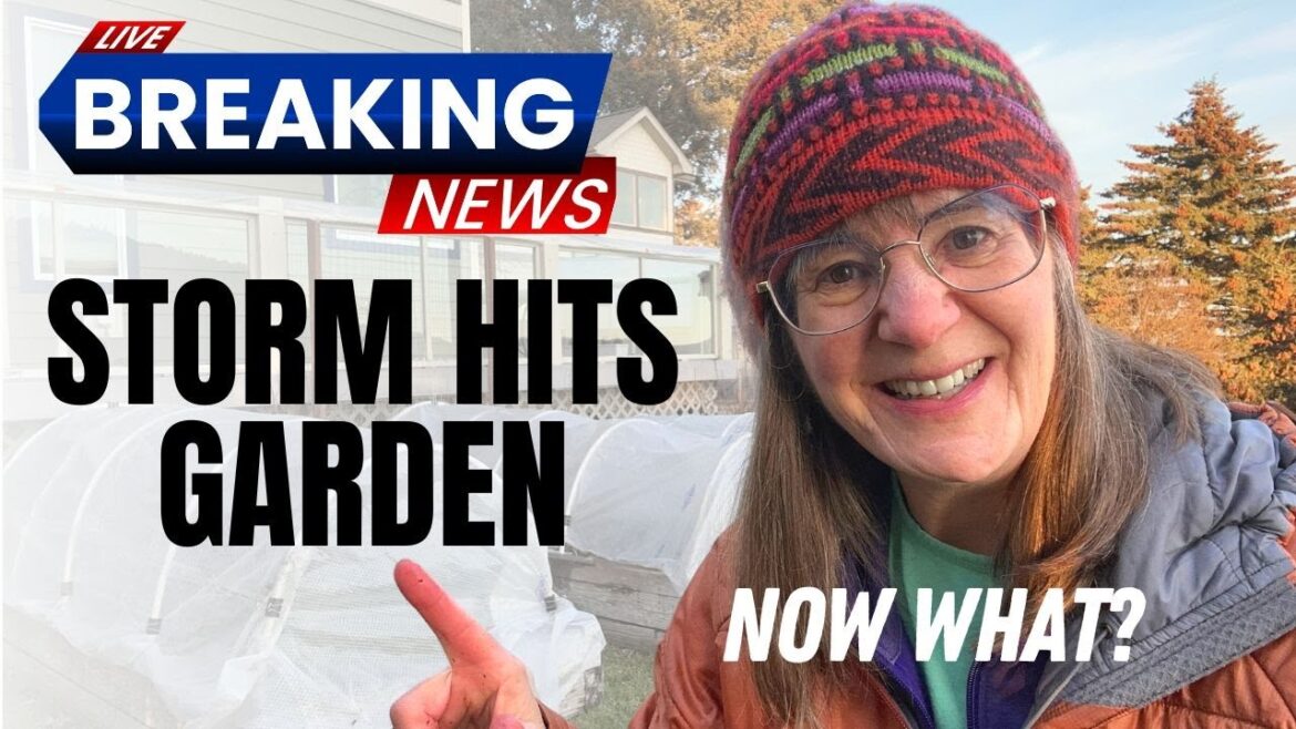 Raised Bed Gardening in Alaska – What We Learned After a Winter Storm Raised Bed Gardening in Alaska - What We Learned After a Winter Storm