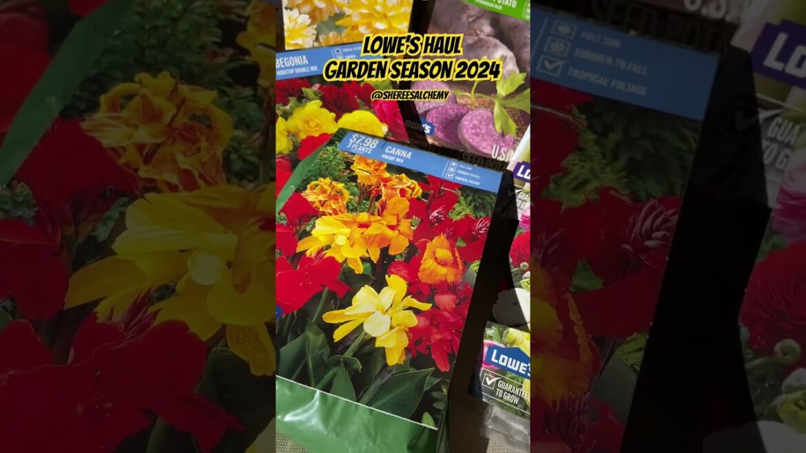 Spring 2024 Small Lowe’s Garden Haul - Backyard Gardening Edible Landscaping #zone4 #gardening