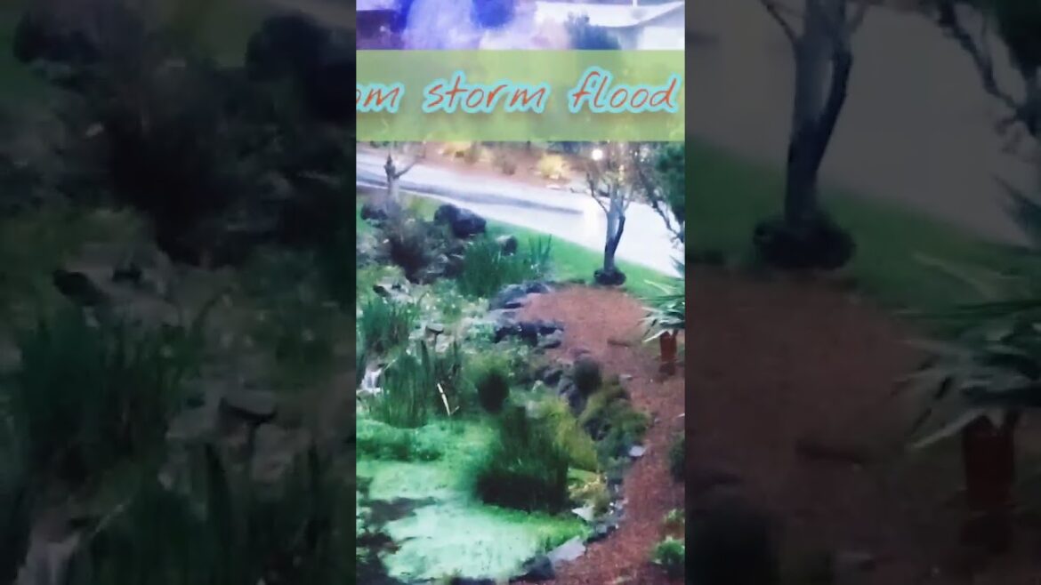 flowing creek garden design