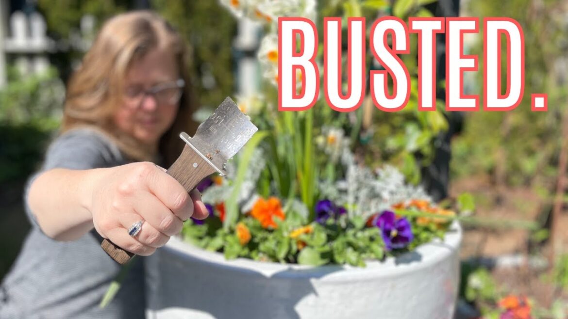 Activating the Irrigation, Parterre Planting Plan + Deadheading the Bulbs