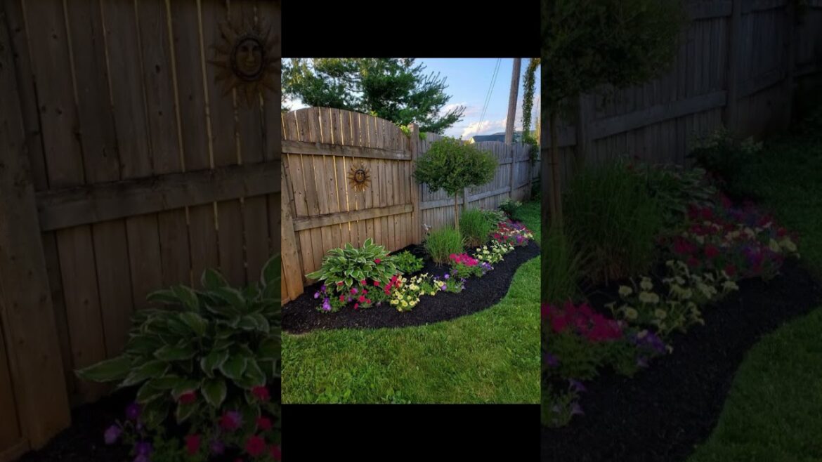 New Backyard Landscaping ideas Garden design ideas