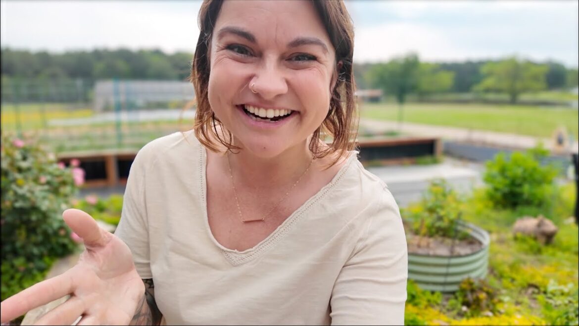 Roots and Refuge Farm: My Clark Kent to Superman Moment (Seedling issues, again) | VLOG My Clark Kent to Superman Moment (Seedling issues, again) | VLOG