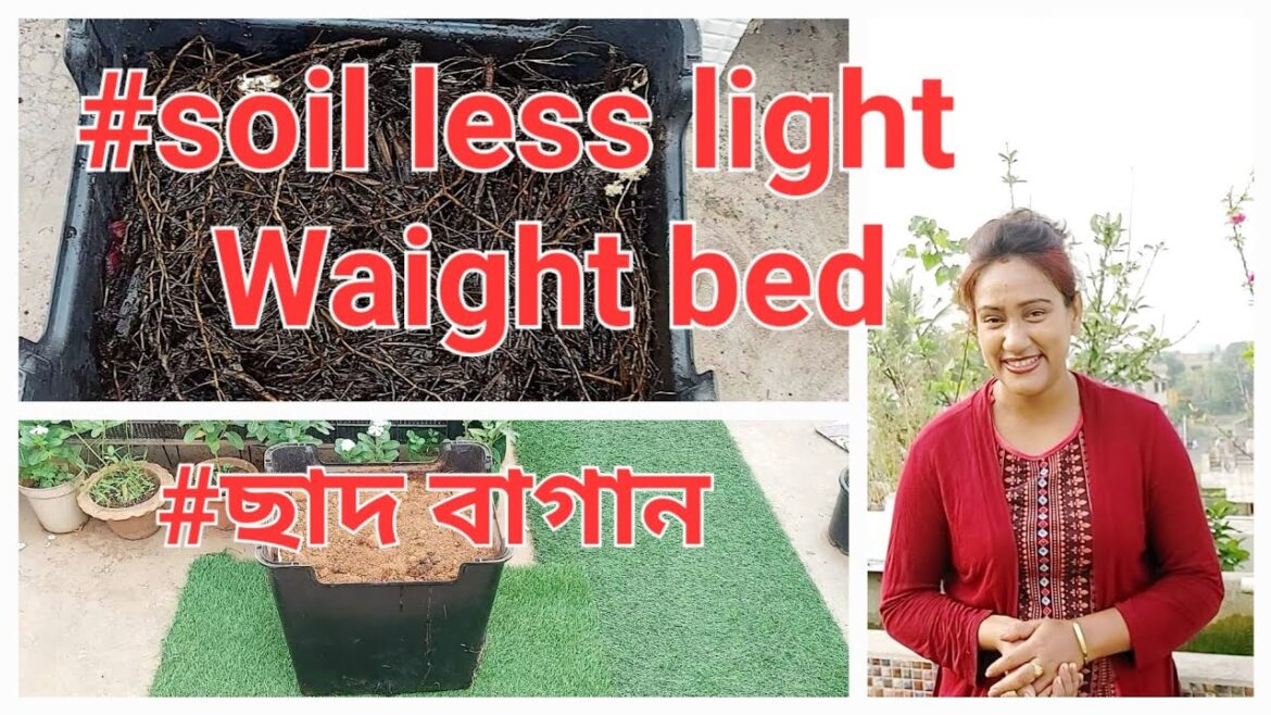 একদম ফেলে দেওয়া জিনিস দিয়ে তৈরি করলাম মাটি ছাড়া হালকা সবজি বেড। #soilless bed#wastage #compost#roof