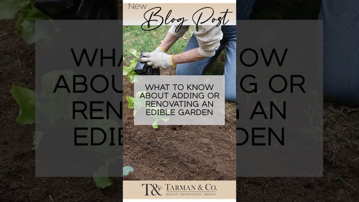 Expert Tips for Creating Your Perfect Edible Garden! #shorts #gardening