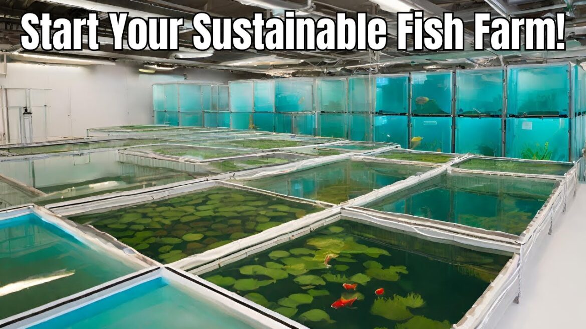 Fish Farming: Ensuring Long-Term Sustainability & Profitability