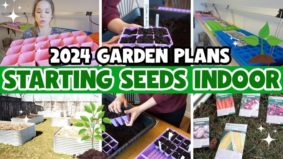 SEED STARTING INDOORS WITH TRAYS + 2024 GARDEN PLANNING