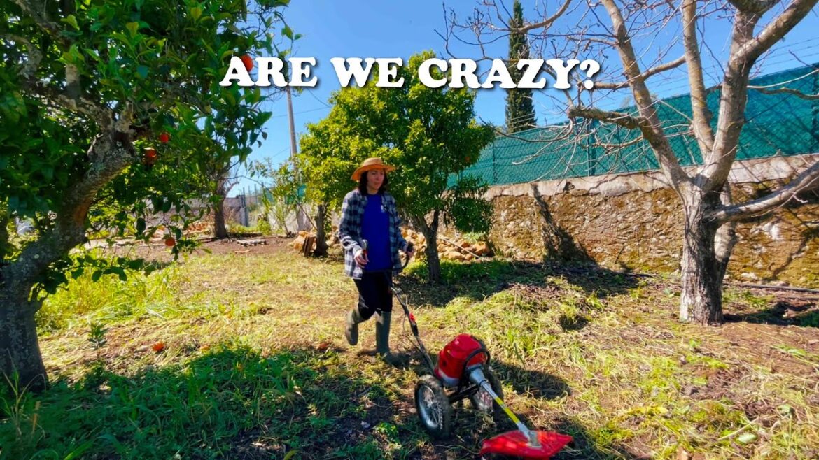 Clearing Half an Acre by Hand?! | Homestead Garden Cleanup