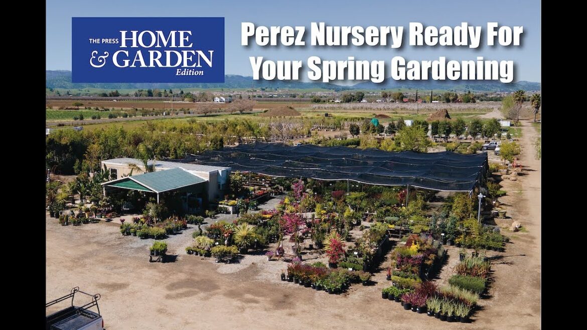 Perez Nursery examines gardening trends, offers tips for spring #gardening #plants #landscape Perez Nursery examines gardening trends, offers tips for spring #gardening #plants #landscape