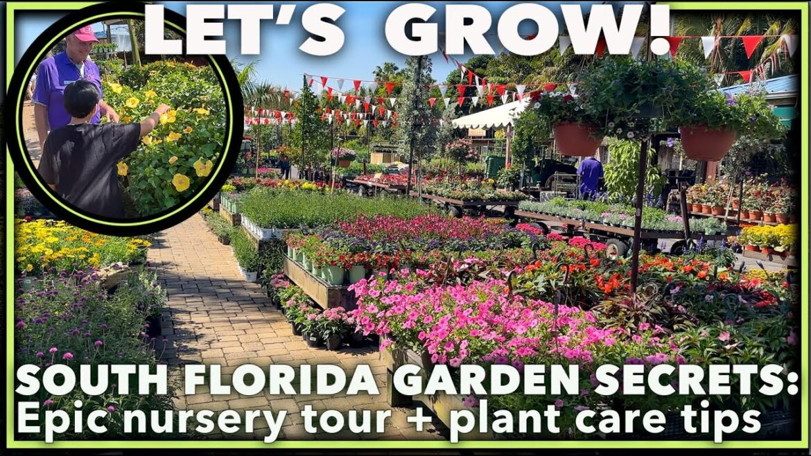 ULTIMATE FLAMINGO ROAD NURSERY ADVENTURE: Pro Tour & Garden SECRETS Revealed!
