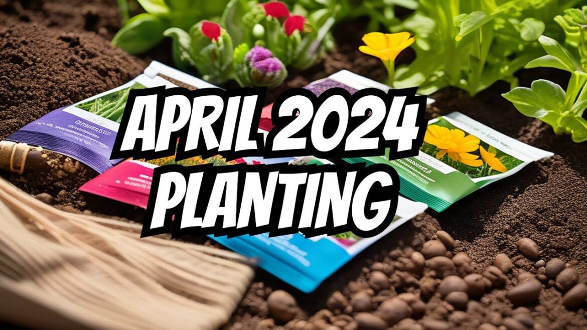 April 2024 Planting Plans? The Garden Is Going To Look VERY Different This Year