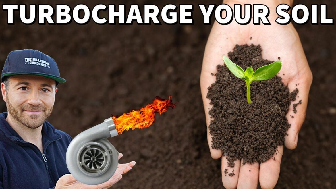 Turbocharge Your Garden Soil NOW In 4 Easy Steps!