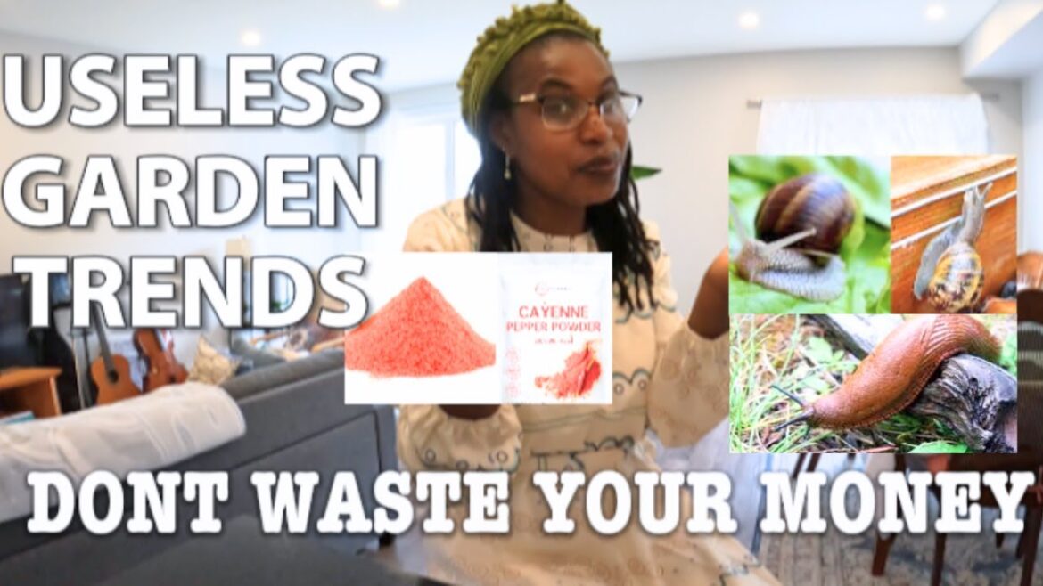 GARDEN TRENDS IN 2024 THAT NEED TO GO |DOES NOT WORK | PLEASE STOP WASTING YOUR MONEY! GARDEN TRENDS IN 2024 THAT NEED TO GO |DOES NOT WORK | PLEASE STOP WASTING YOUR MONEY!
