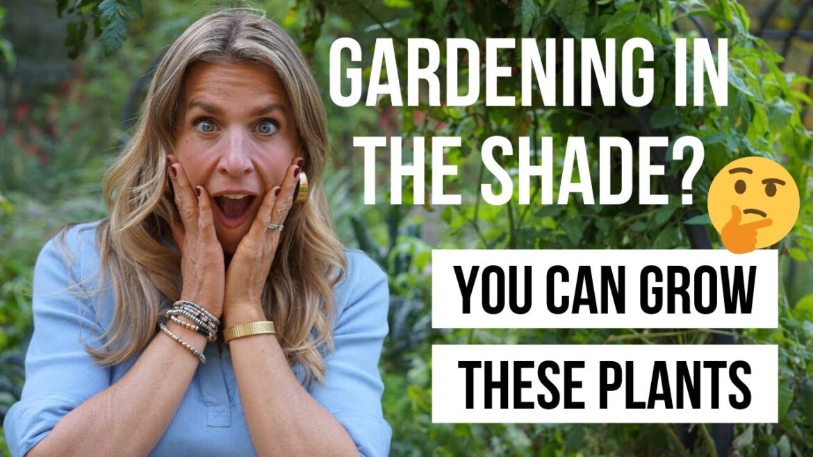 20 Plants You Can Grow in the Shade 20 Plants You Can Grow in the Shade